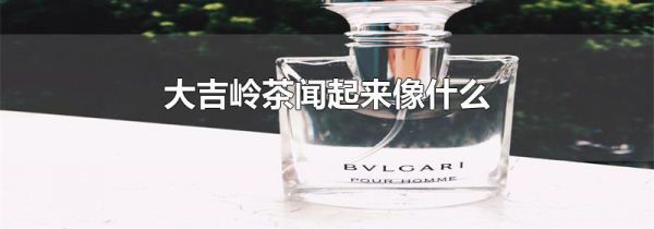 大吉岭茶闻起来像什么
