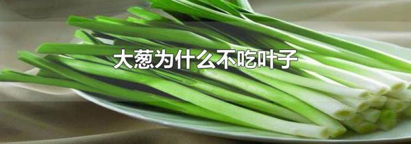 大葱为什么不吃叶子