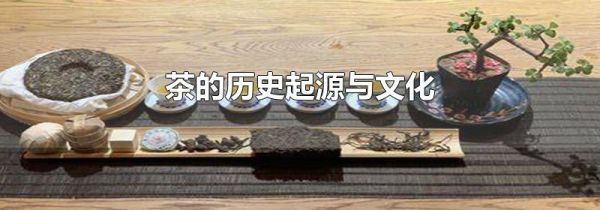 茶的历史起源与文化