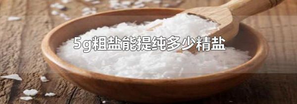 5g粗盐能提纯多少精盐