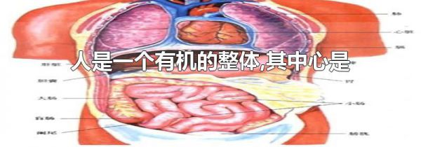 人是一个有机的整体,其中心是