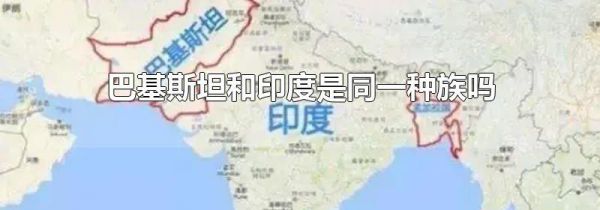巴基斯坦和印度是同一种族吗