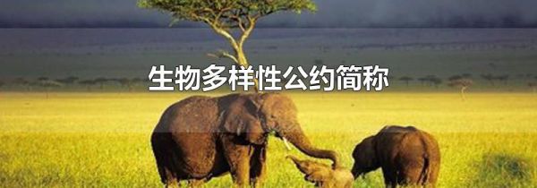 生物多样性公约简称