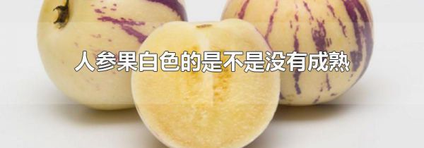 人参果白色的是不是没有成熟