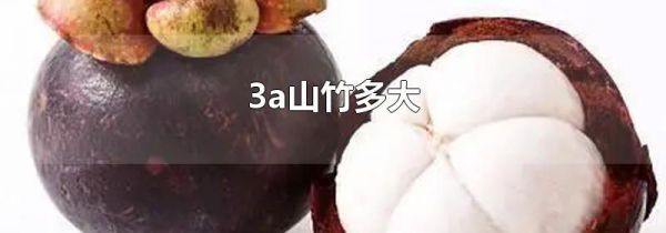 3a山竹多大