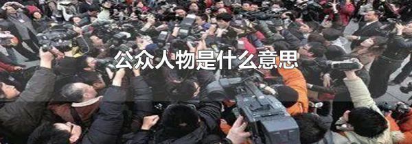 公众人物是什么意思