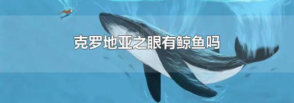 克罗地亚之眼有鲸鱼吗