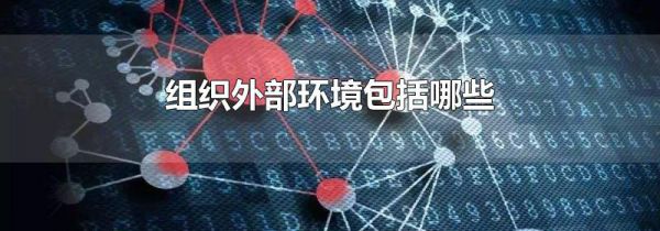 组织外部环境包括哪些