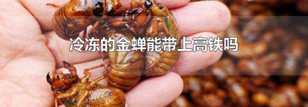冷冻的金蝉能带上高铁吗