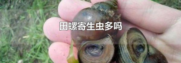 田螺寄生虫多吗