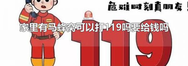 家里有马蜂窝可以打119吗要给钱吗