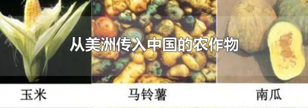 从美洲传入中国的农作物
