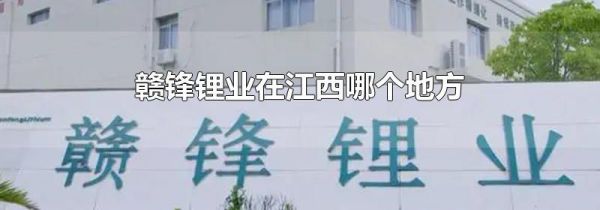 赣锋锂业在江西哪个地方