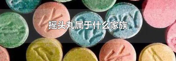 摇头丸属于什么家族