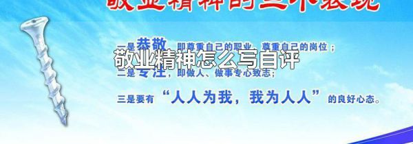 敬业精神怎么写自评