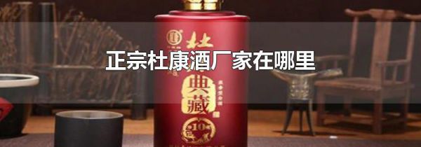 正宗杜康酒厂家在哪里