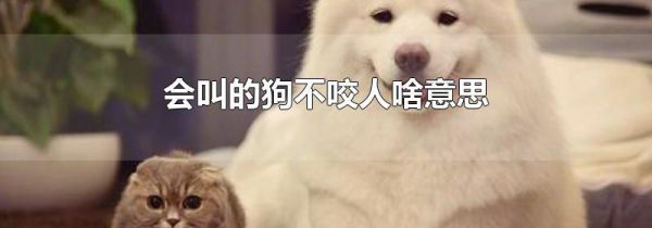 会叫的狗不咬人啥意思