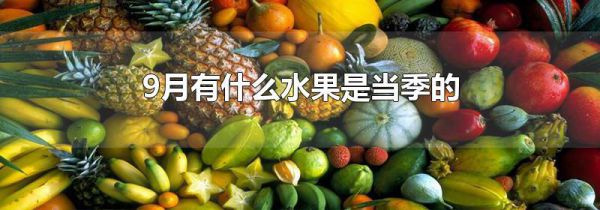 9月有什么水果是当季的