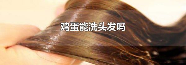 鸡蛋能洗头发吗
