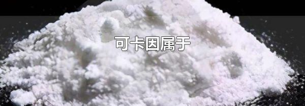 可卡因属于