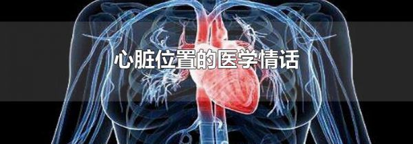 心脏位置的医学情话