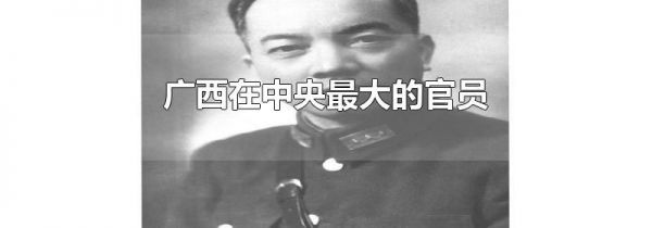 广西在中央最大的官员