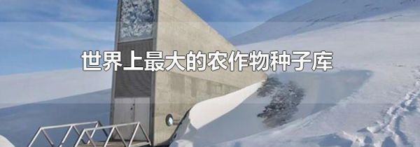 世界上最大的农作物种子库