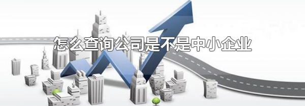 怎么查询公司是不是中小企业