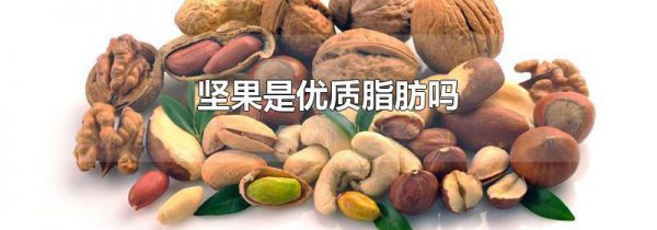 坚果是优质脂肪吗