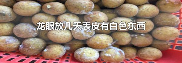 龙眼放几天表皮有白色东西