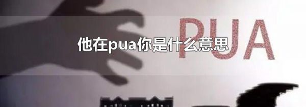 他在pua你是什么意思