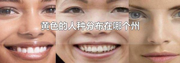 黄色的人种分布在哪个州