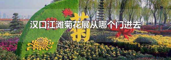 汉口江滩菊花展从哪个门进去