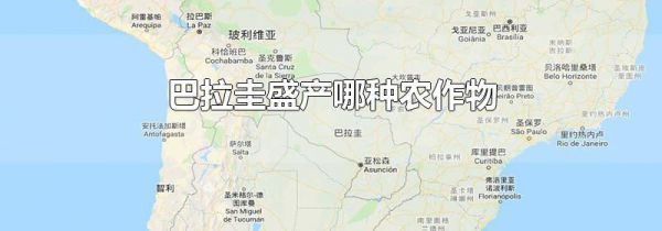 巴拉圭盛产哪种农作物