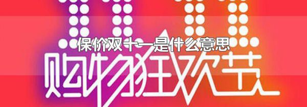 保价双十一是什么意思