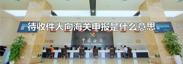 待收件人向海关申报是什么意思
