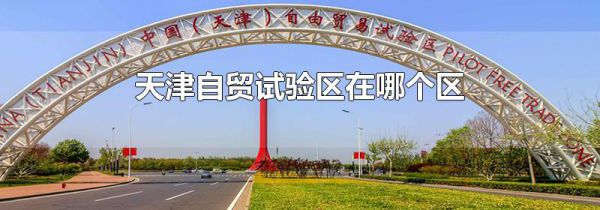 天津自贸试验区在哪个区