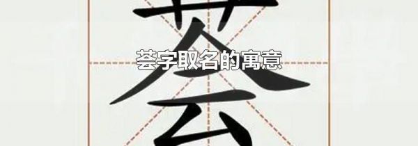 荟字取名的寓意