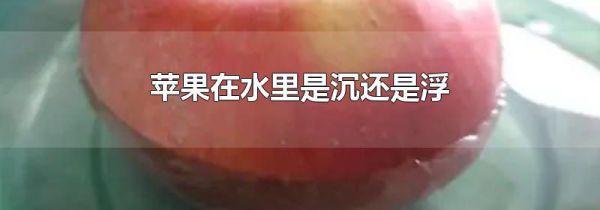 苹果在水里是沉还是浮