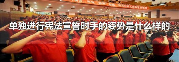 单独进行宪法宣誓时手的姿势是什么样的