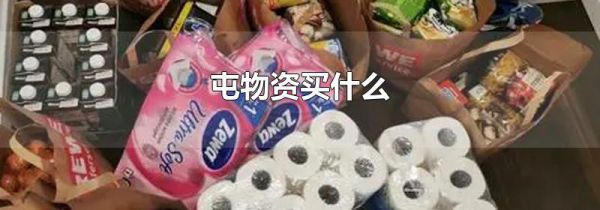 屯物资买什么