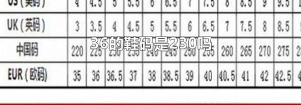 36的鞋码是230吗