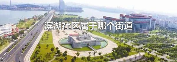 滨湖社区属于哪个街道