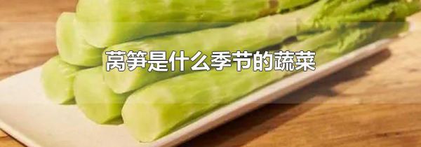 莴笋是什么季节的蔬菜