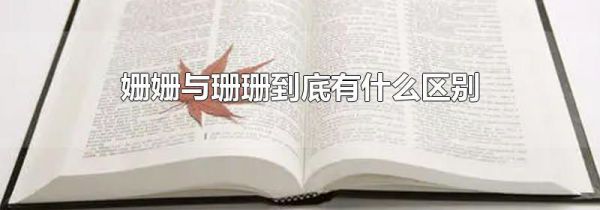 姗姗与珊珊到底有什么区别