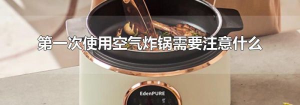 第一次使用空气炸锅需要注意什么