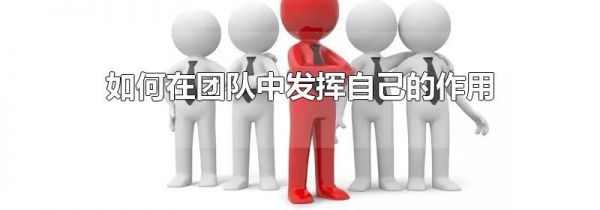 如何在团队中发挥自己的作用
