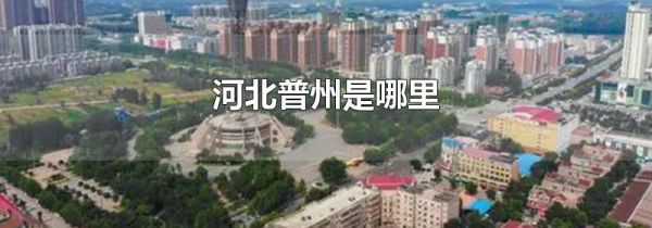 河北普州是哪里