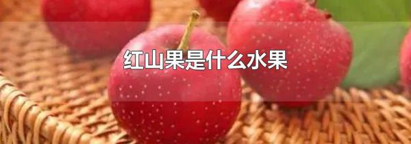 红山果是什么水果