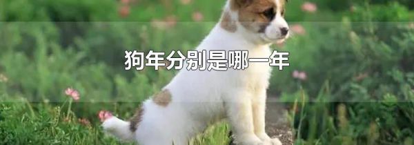 狗年是哪一年